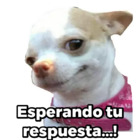 Esperando tu respuesta...!