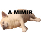 A MIMIR