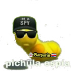 Pichula espía