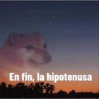 En fin, la hipotenusa