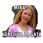 MIRA!! AGRESIVA LA GATA