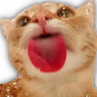 Sticker #841873