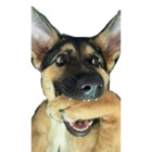 Sticker #113161