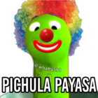 PICHULA PAYASA