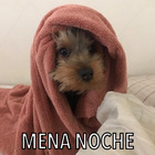 MENA NOCHE