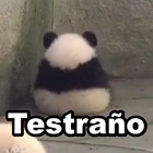 Testraño