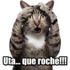 Uta... que roche!!!