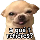 A qué t refieres?