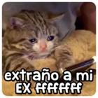 extraño a mi EX ffffffff