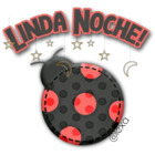 LINDA NOCHE!