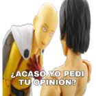 ¿ACASO YO PEDI TU OPINION?