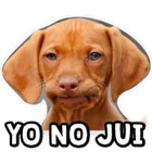 YO NO JUI