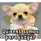 Quienes somos para juzgar