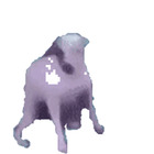 Sticker #256646
