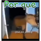 Por que