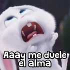 Aaay me duele el alma