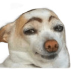 Sticker #563830