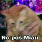 No pos Miau