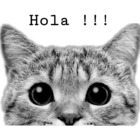 Hola ! ! !