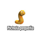 Pichula pequena