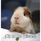 ¿Ya no me quieres?