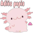 Adiós popis