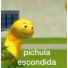 Pichula escondido