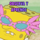 OBSERVA Y APRENDE
