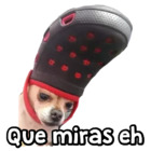 Que miras eh