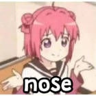 Nose