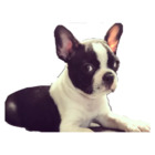 Sticker #015467