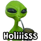 Holiiisss