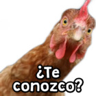 ¿Te conozco?
