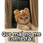 Que mal no me contesta:(