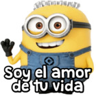 Soy el amor de tu vida
