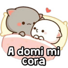 A domi mi cora