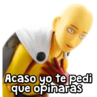 Acaso yo te pedi que opinaras…