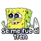 Se me fue el tren