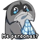 Me perdonas?