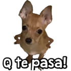 Q te pasa!