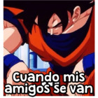 Cuando mis amigos se van