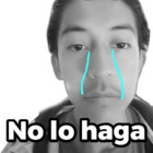 No lo haga