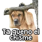Ta gueno el chisme