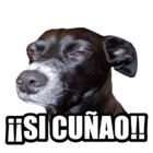 ¡¡SI CUÑAO!!