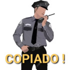 Copiado!