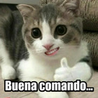 Buena comando...