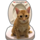 Sticker #638583