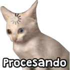 Procesando