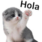 Hola