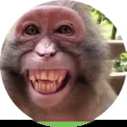 Sticker #715720